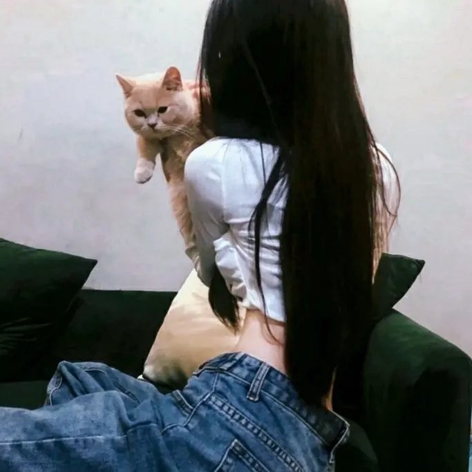 轻微盗窃案